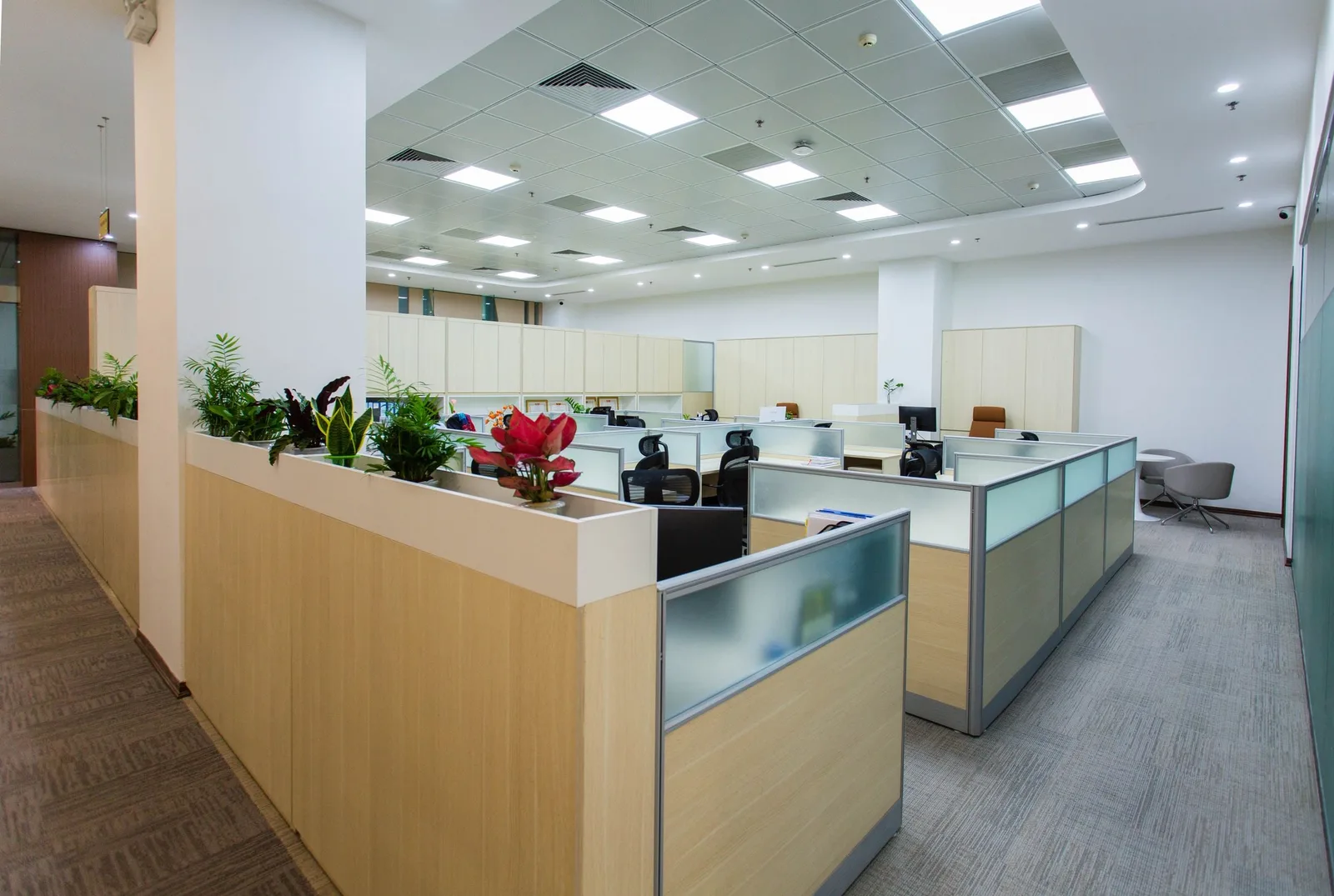Bright open-plan office with desk pods and planters under a suspended ceiling of square lights and air grilles